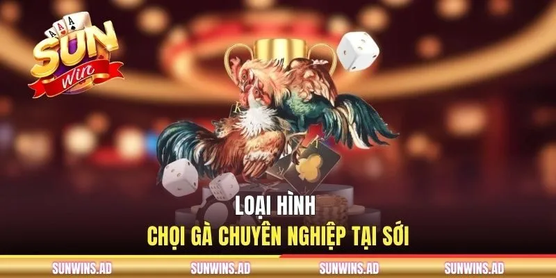 Loại hình chọi gà chuyên nghiệp tại sới