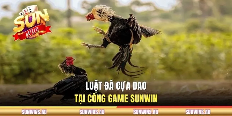 Luật đá cựa dao tại cổng game SUNWIN