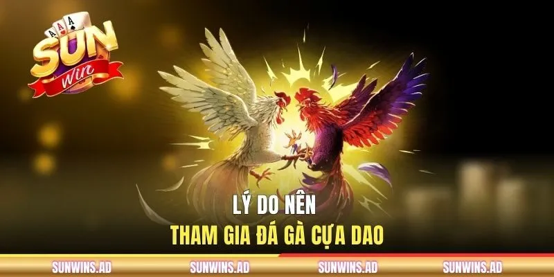 Lý do nên tham gia đá gà cựa dao?
