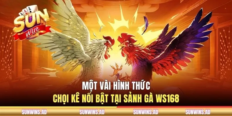Một vài hình thức chọi kê nổi bật tại sảnh gà WS168